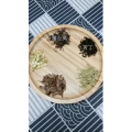 健康养生4741