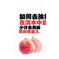 健康养生4742