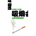 健康养生4758