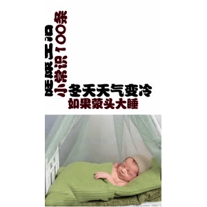 健康养生4761