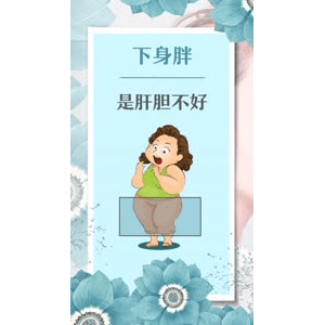 健康养生4765