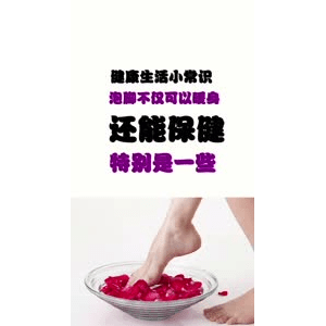 健康养生4802