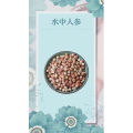 健康养生4828