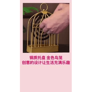 健康养生4831