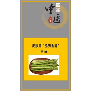 健康养生4868