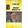 健康养生4897
