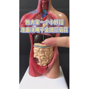 健康养生4903