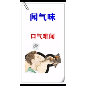 健康养生4945