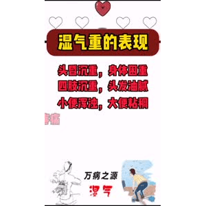 健康养生4969