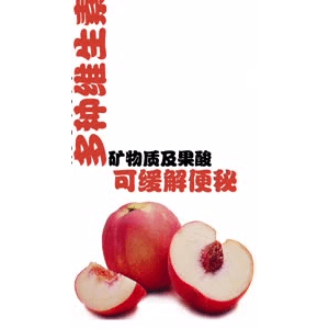 健康养生4977
