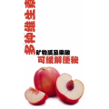 健康养生4977