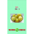 健康养生4986