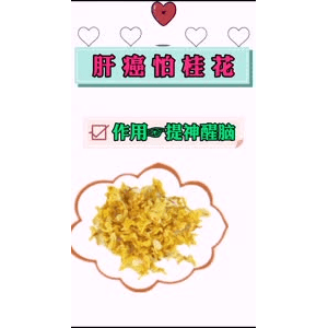 健康养生5024