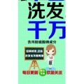 健康养生5306