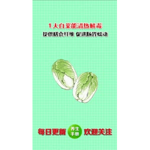 健康养生5308