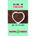 健康养生5314