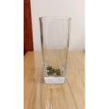 健康养生5342