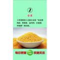 健康养生5346