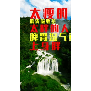 健康养生5360
