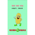 健康养生5367