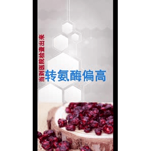 健康养生5390