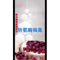 健康养生5390