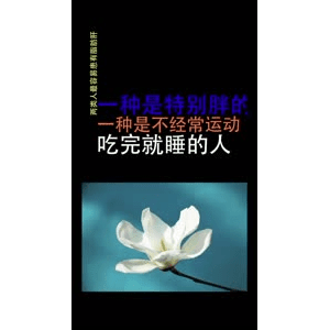 健康养生5450