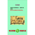 健康养生3617