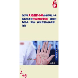 健康养生5481