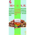 健康养生5491