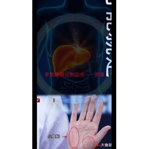 健康养生5495
