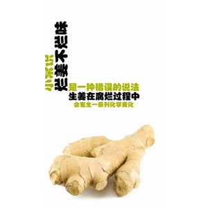 健康养生5519