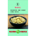 健康养生5523