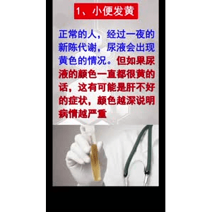 健康养生5537