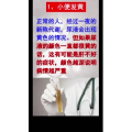 健康养生5537