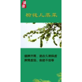 健康养生5582