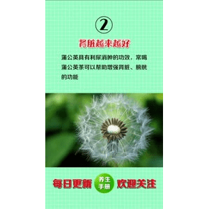 健康养生5588