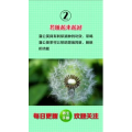 健康养生5588