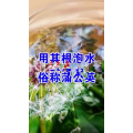 健康养生5593