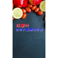 健康养生5604