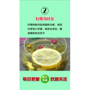 健康养生5630