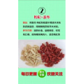 健康养生5674