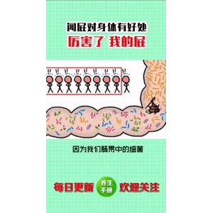 健康养生5694