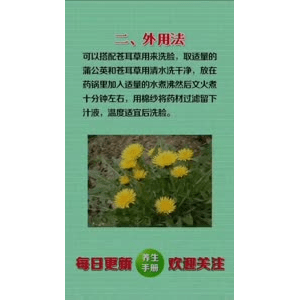 健康养生5734
