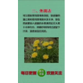 健康养生5734