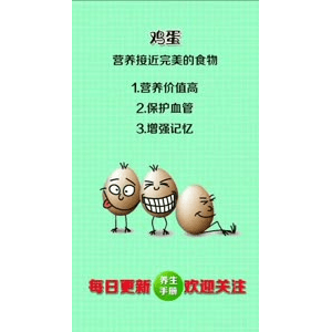 健康养生5744