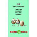 健康养生5744