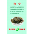 健康养生5764
