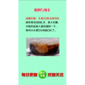 健康养生5794