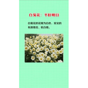 健康养生5828